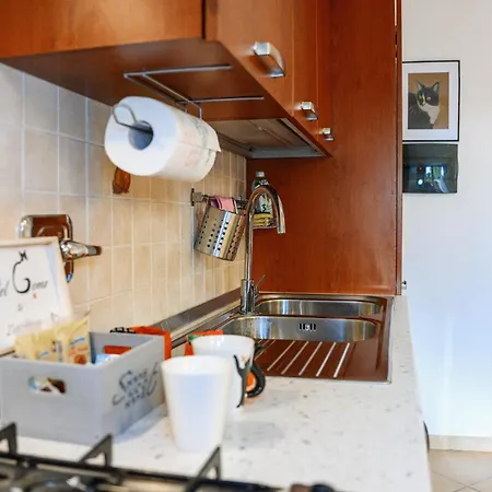 Zizi House Appartement *
