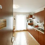 Zizi House