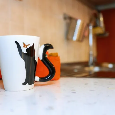 Appartamento Zizì House *