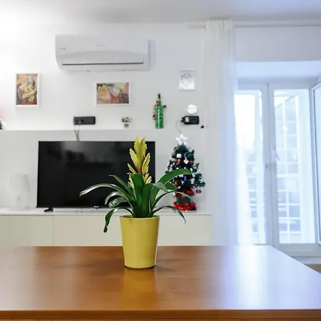 Zizi House
